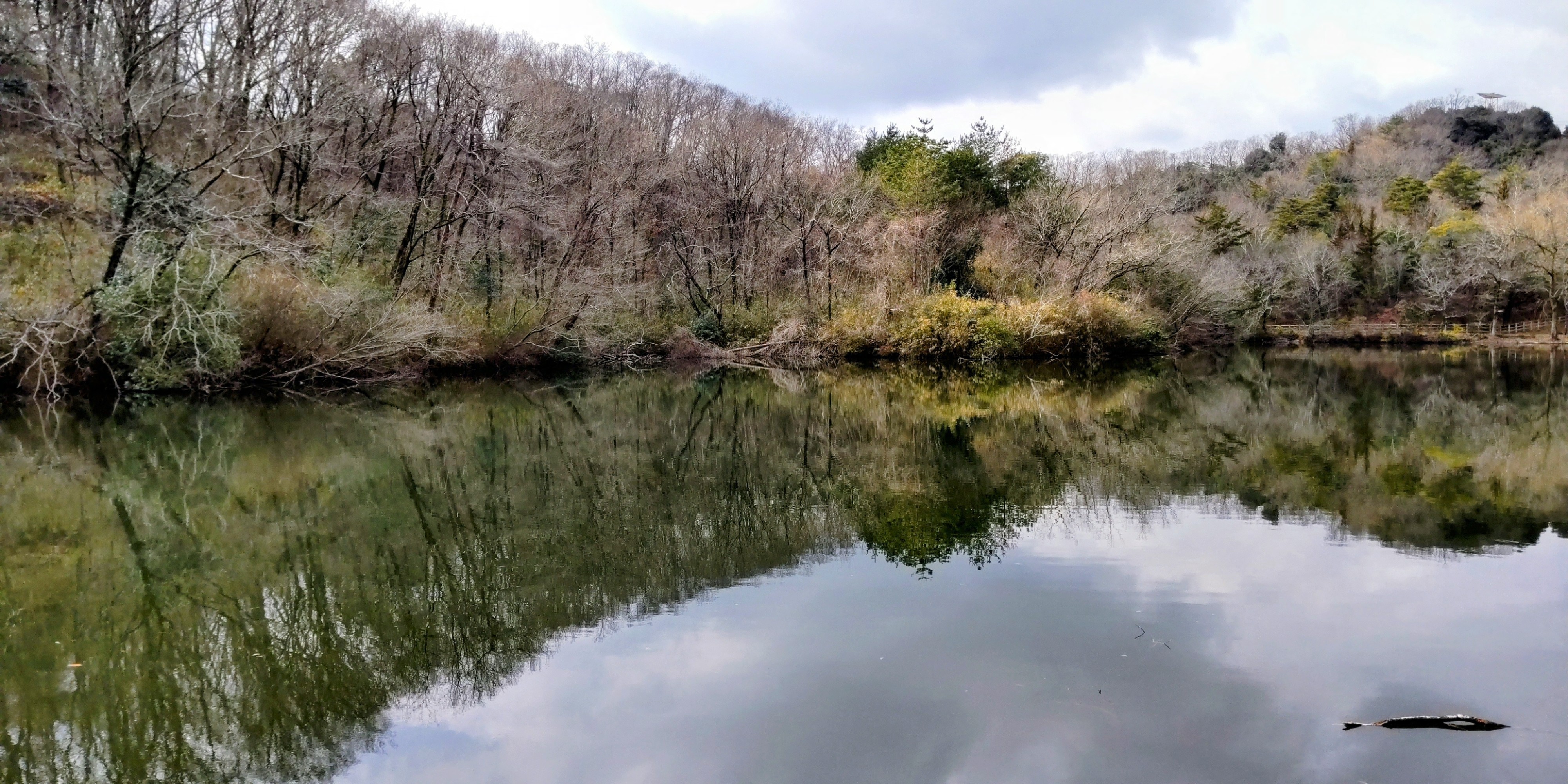 DSC_1073_3.JPG