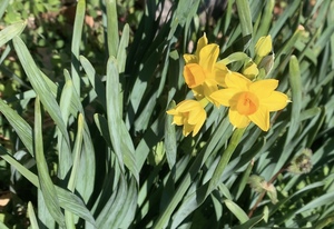 IMG_7683.jpeg