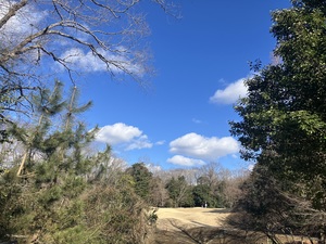 IMG_6793.jpeg