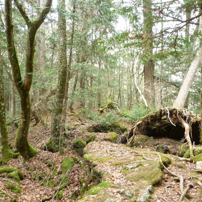P1070119.JPG