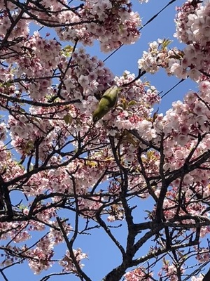 IMG_6247.jpeg