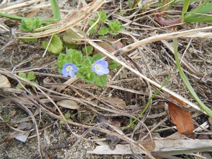 IMG_0514.jpeg