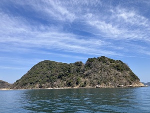 IMG_0559.jpeg