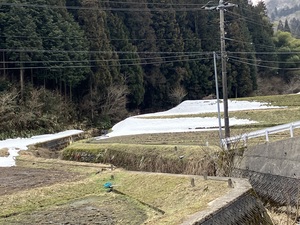 IMG_0528.jpeg