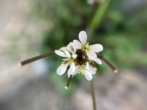 IMG_0572.jpeg