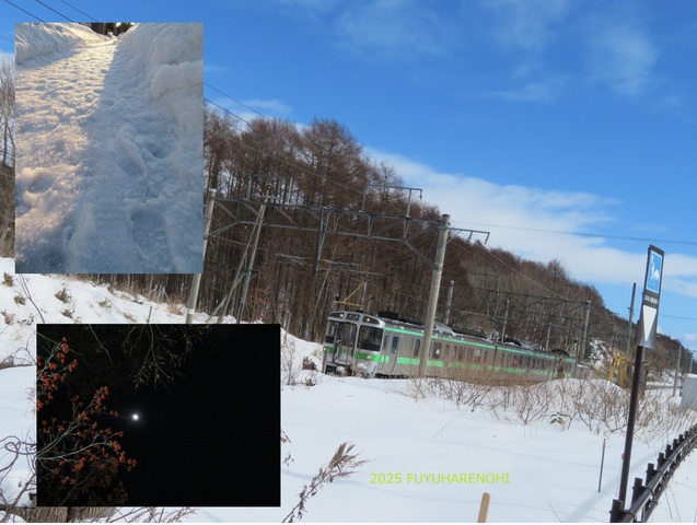 FUYUHARENOHI2025.jpg
