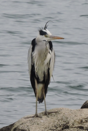 DSCN4875.JPG