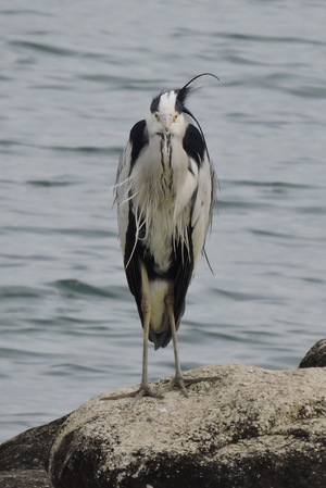 DSCN4879.JPG