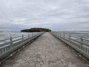 PXL_20250305_233052804.jpg