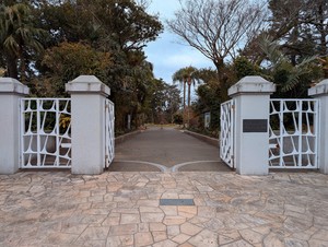 PXL_20250305_232748376_2.jpg