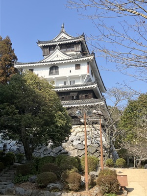 IMG_0795.jpeg