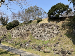 IMG_1325.jpeg