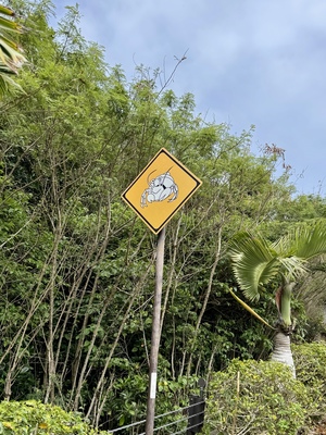 IMG_9095.jpeg