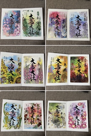 IMG_2212.jpeg