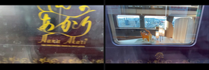 IMG_0975.jpeg