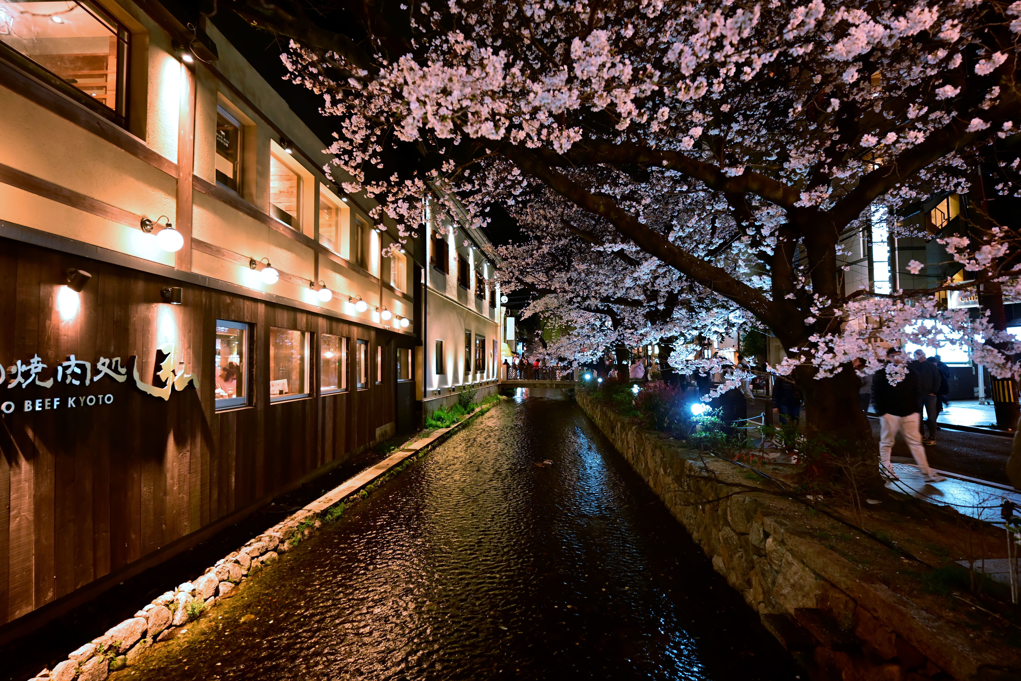 fullsize_image.jpg?1743521138