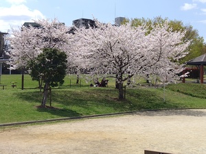 250404120506896.JPG
