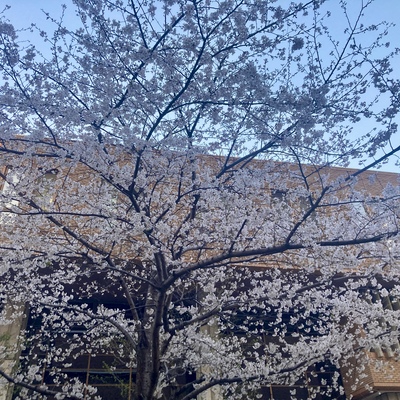 IMG_2160.jpeg