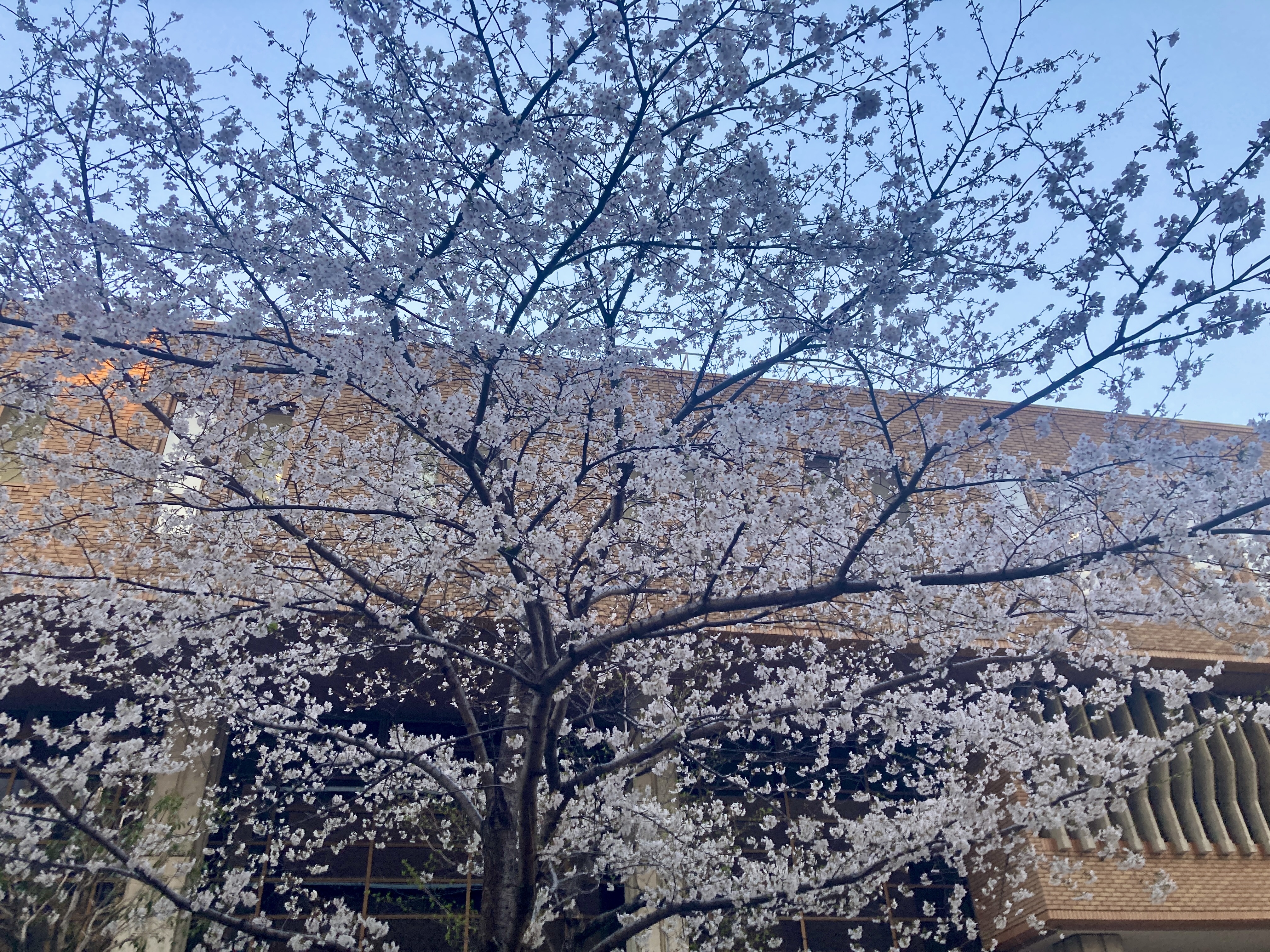 IMG_2160.jpeg