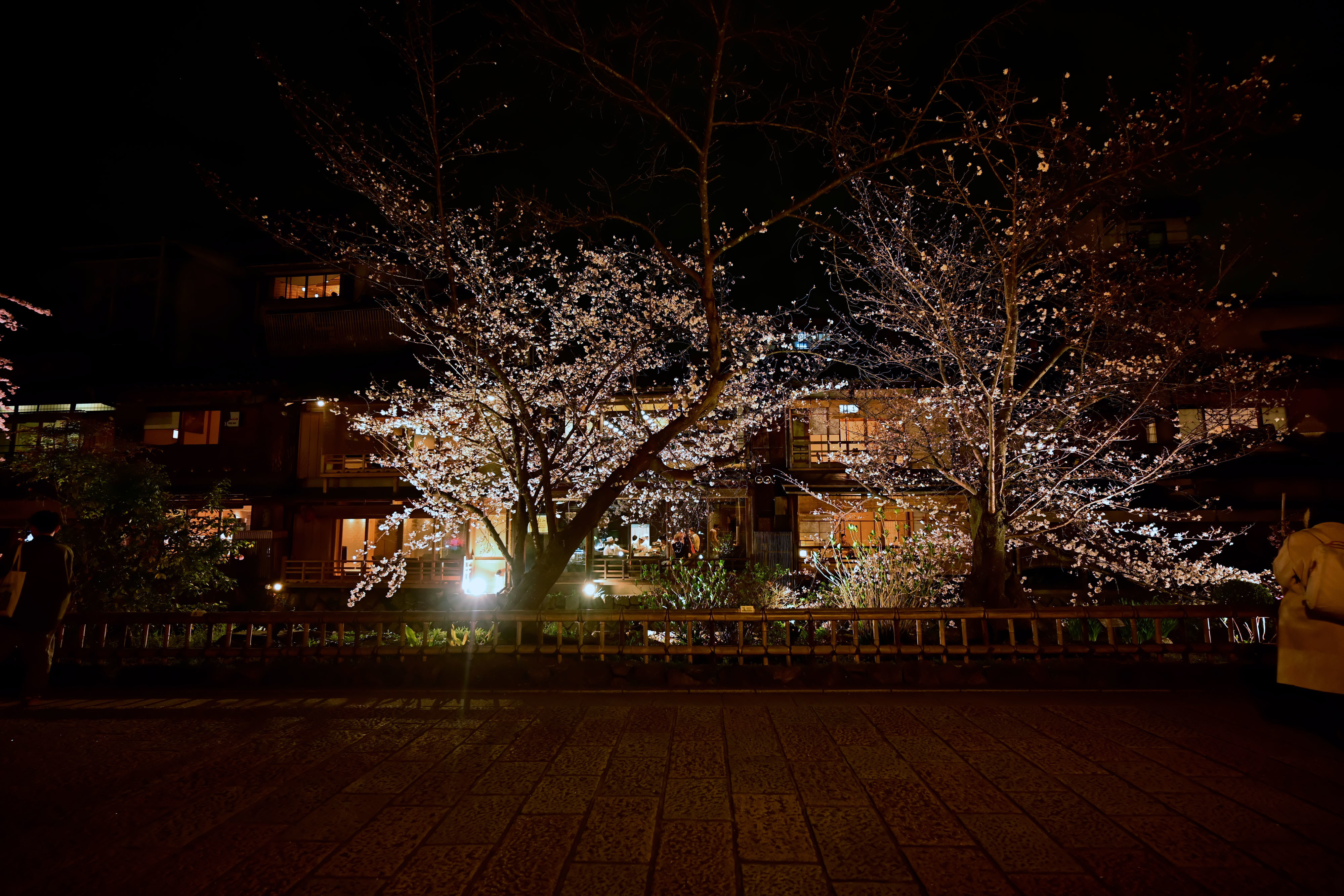 DSC_3401_02.jpg
