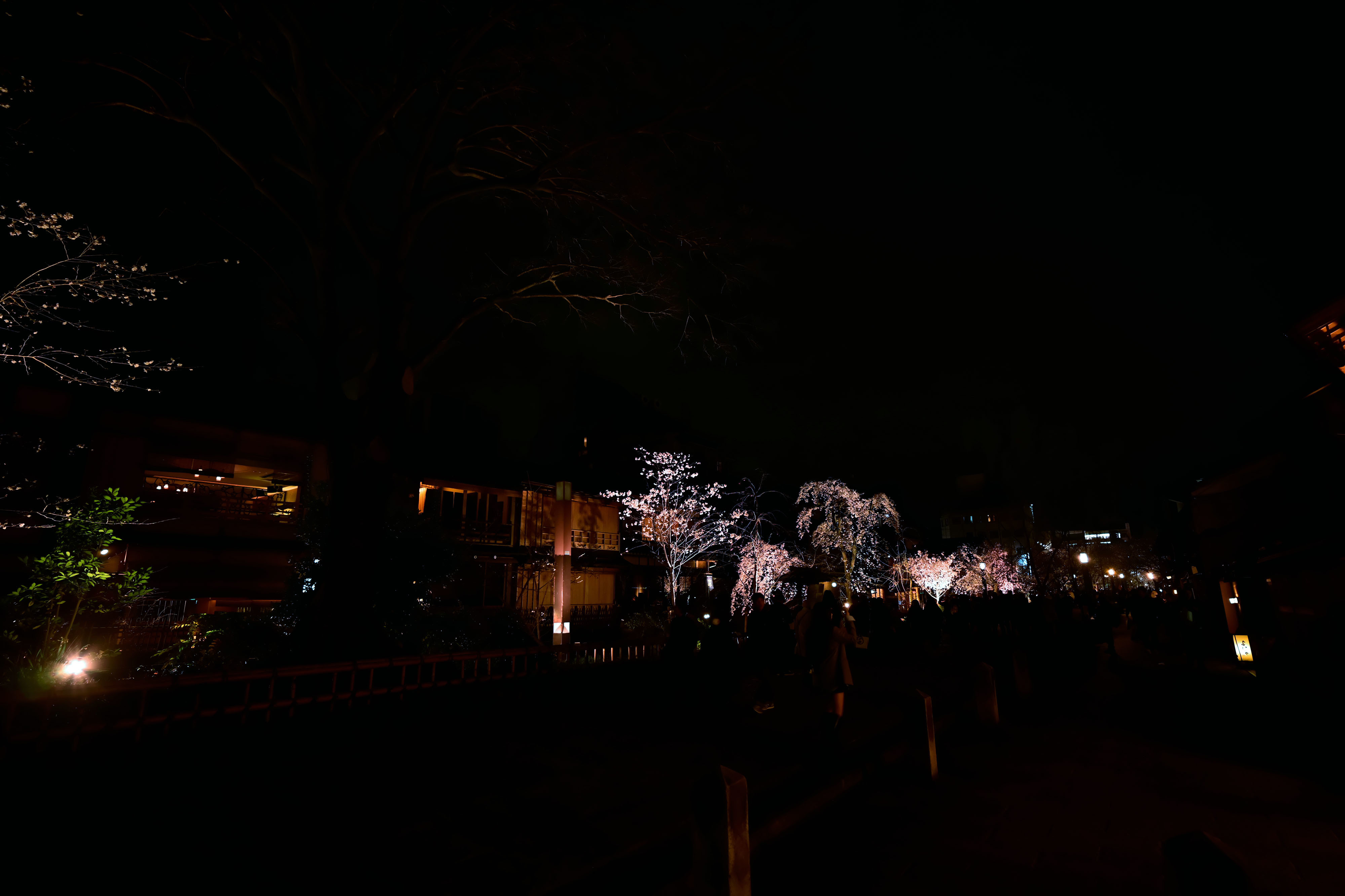 DSC_3391_02.jpg