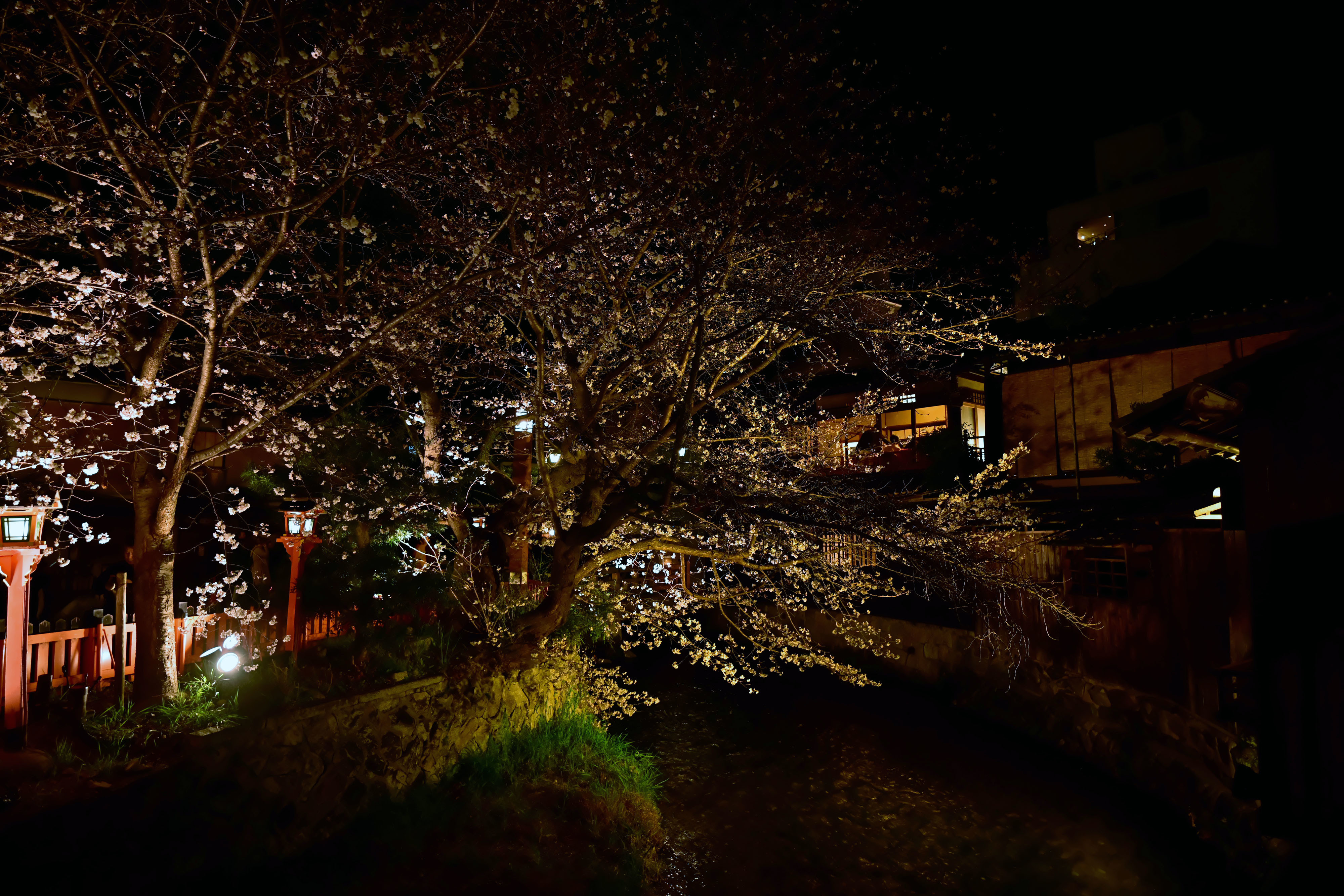 DSC_3370_02.jpg
