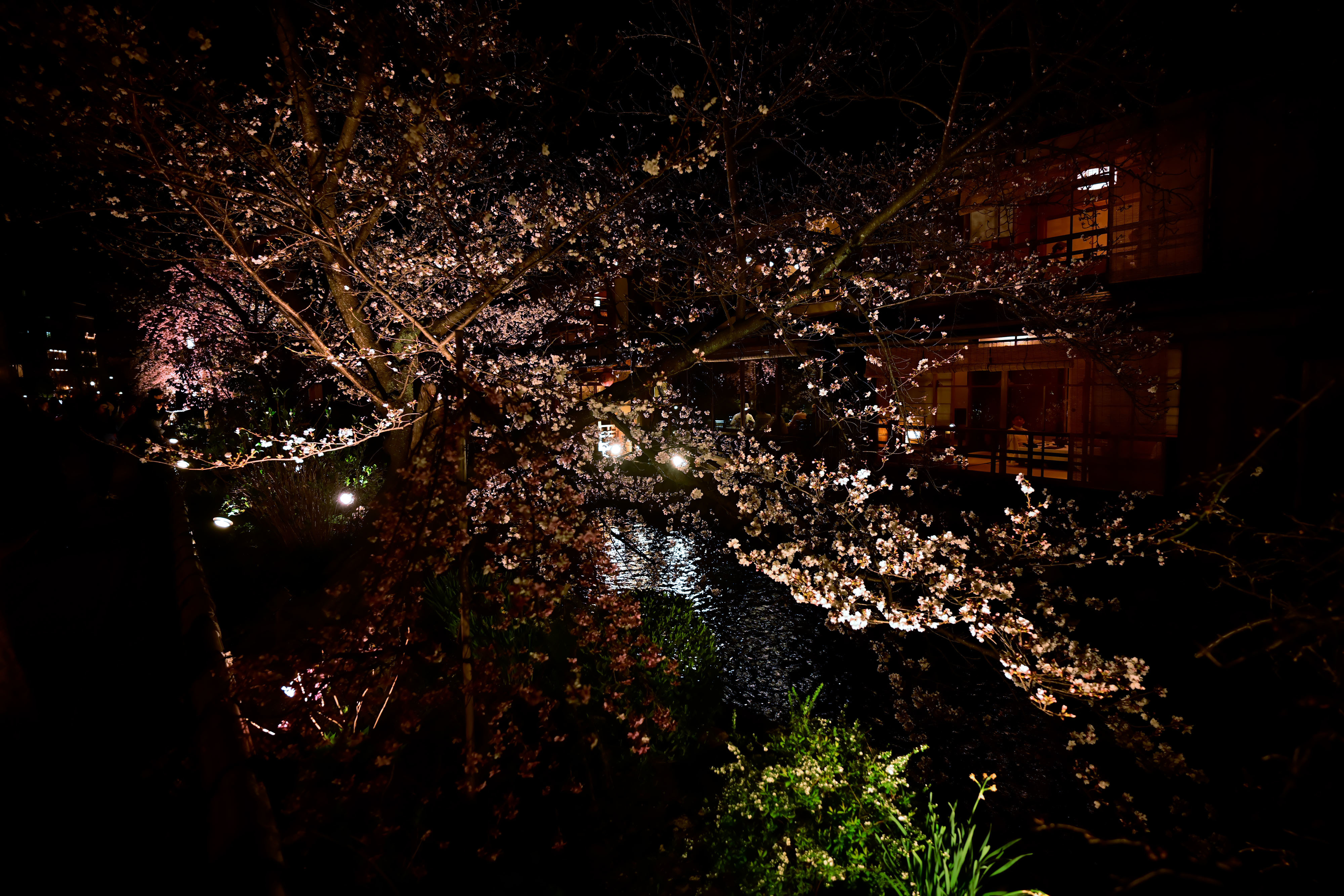 DSC_3357_02.jpg