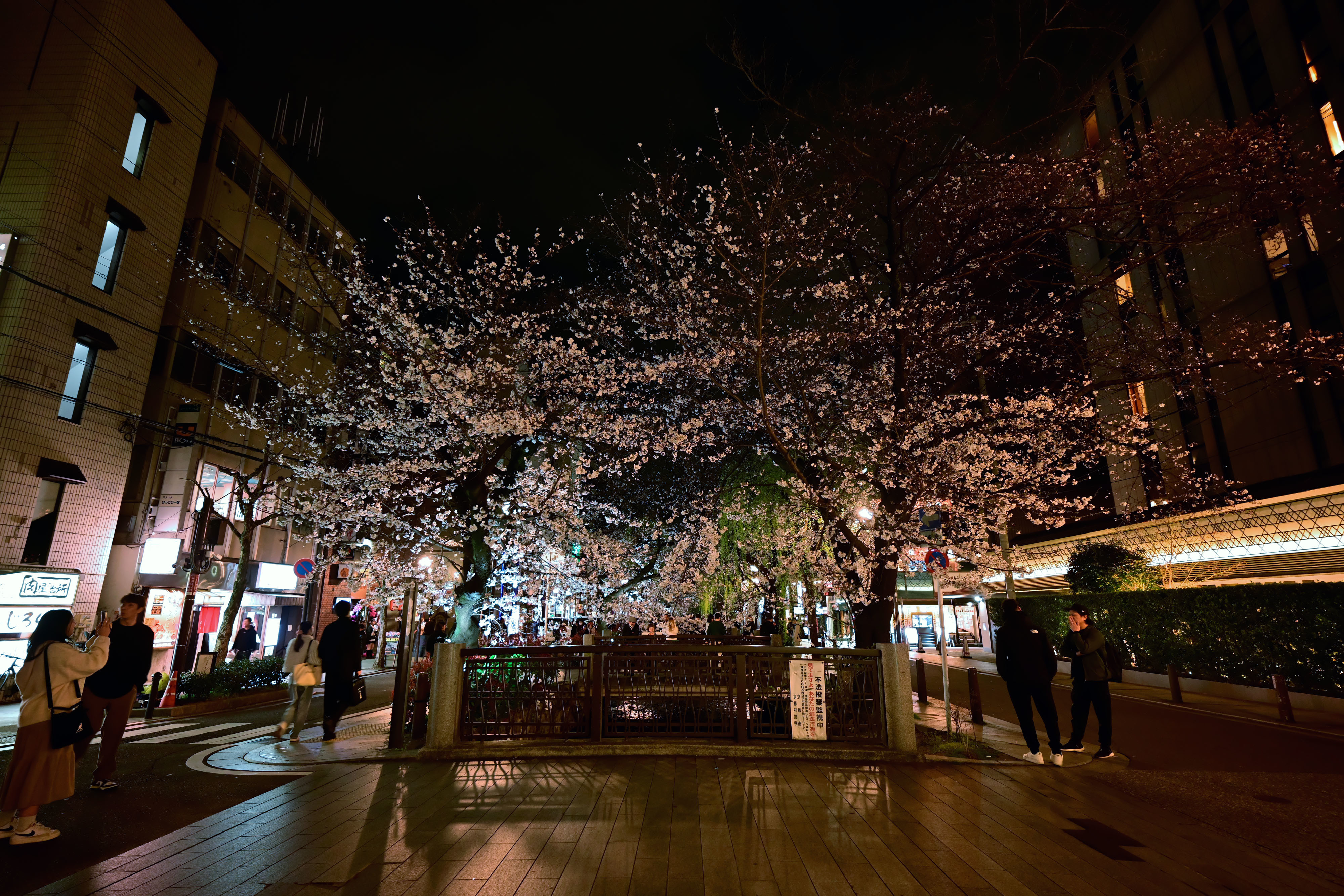 DSC_3469_01.jpg