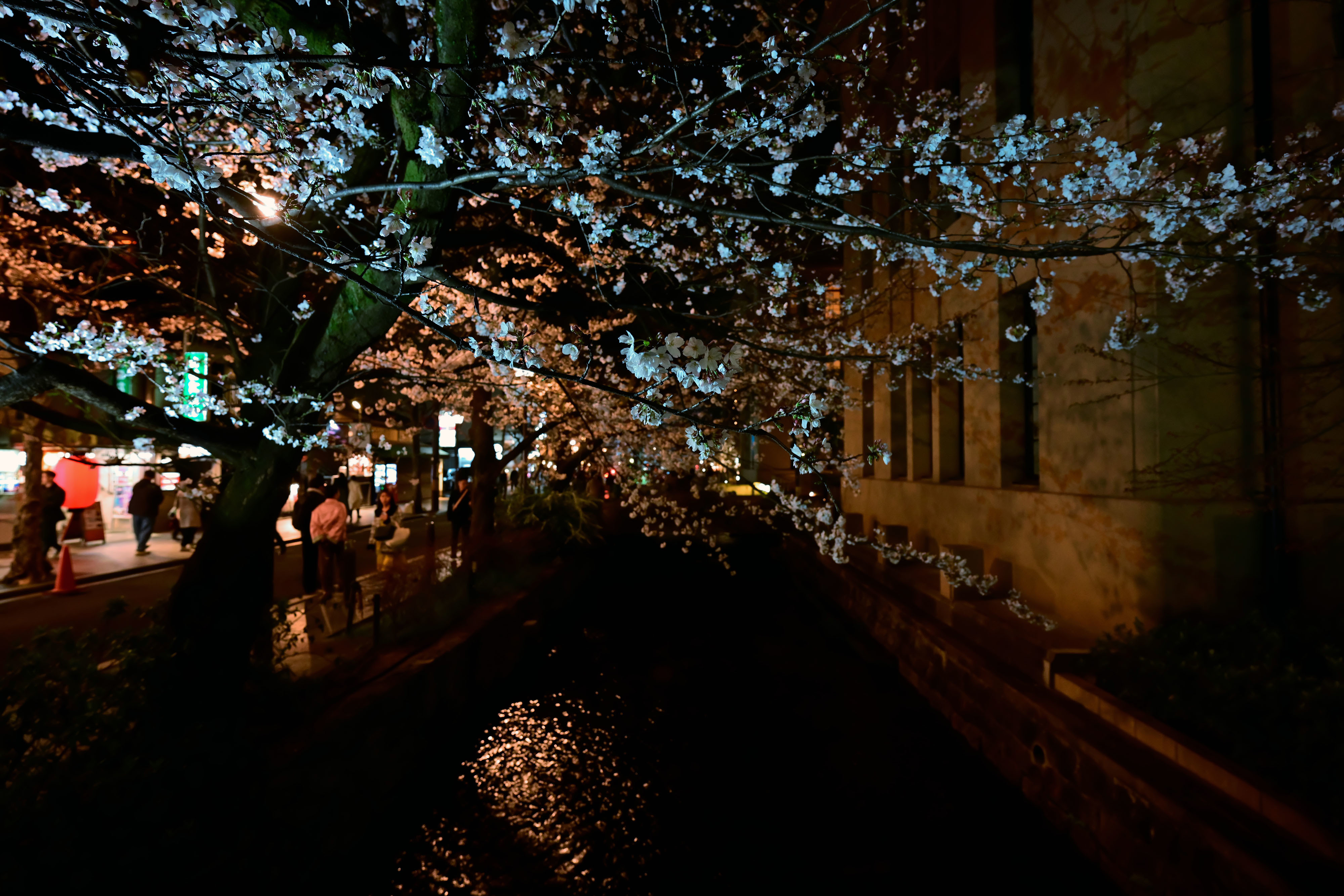 DSC_3452_02.jpg