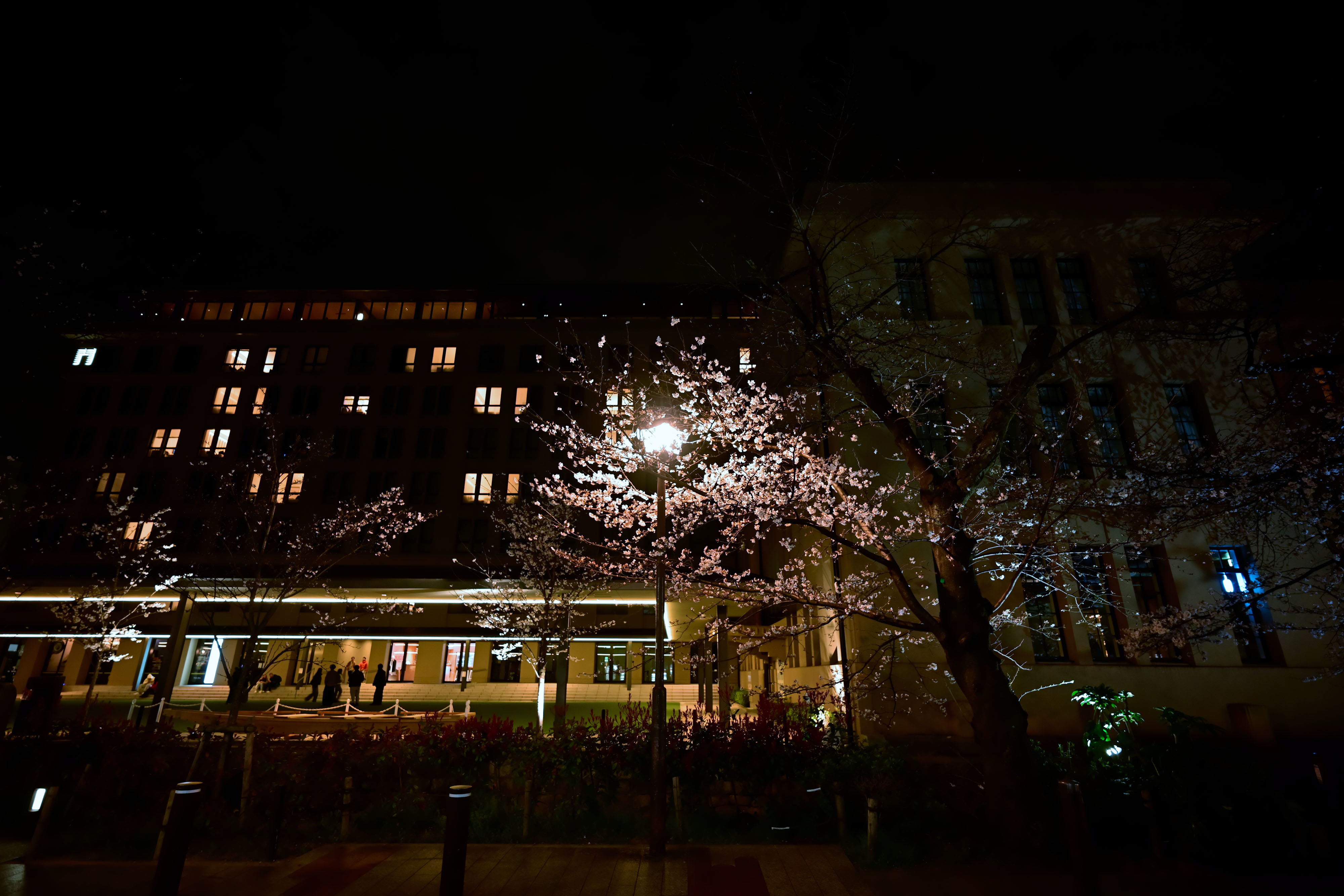 DSC_3443_02.jpg