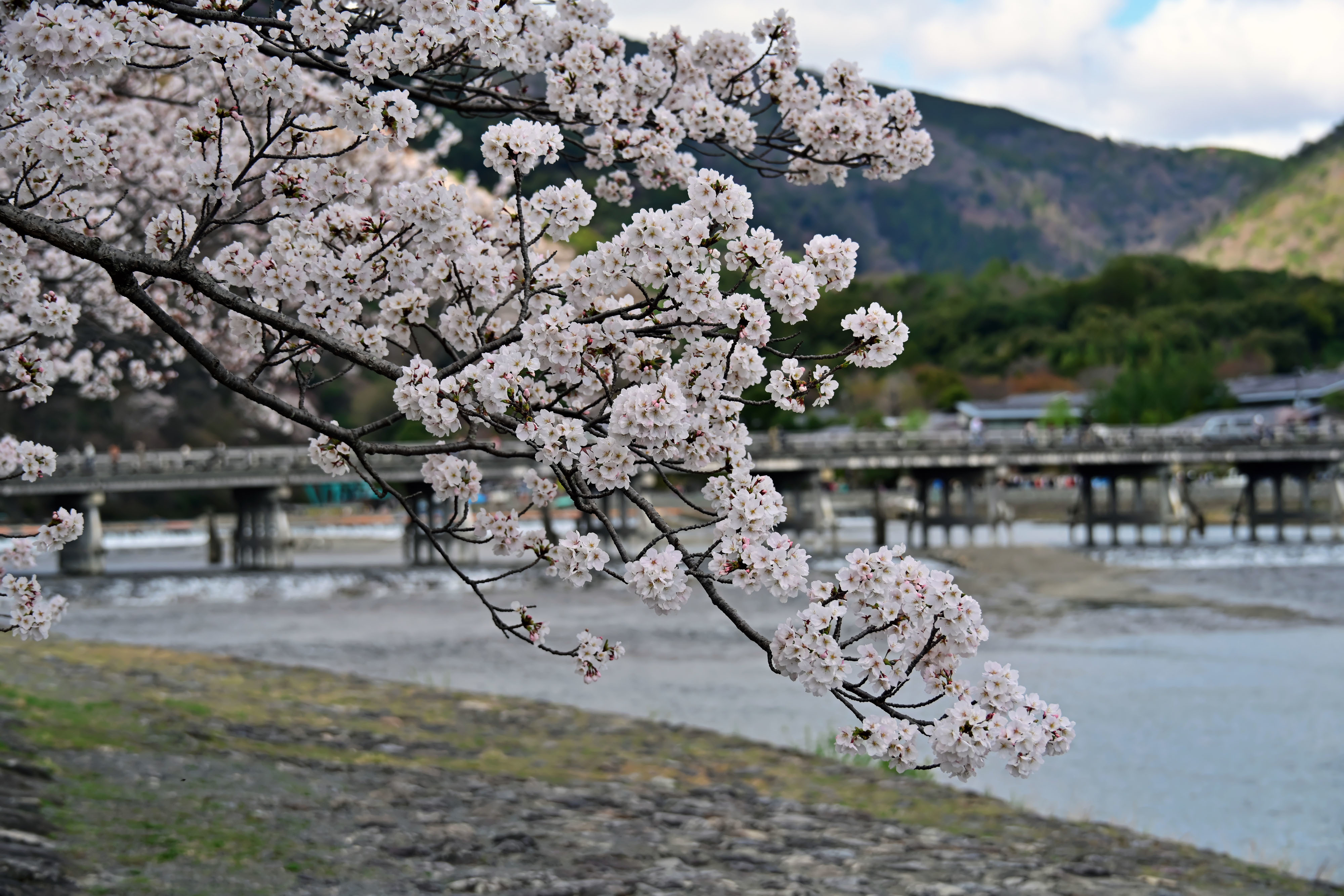 DSC_3511_02.jpg