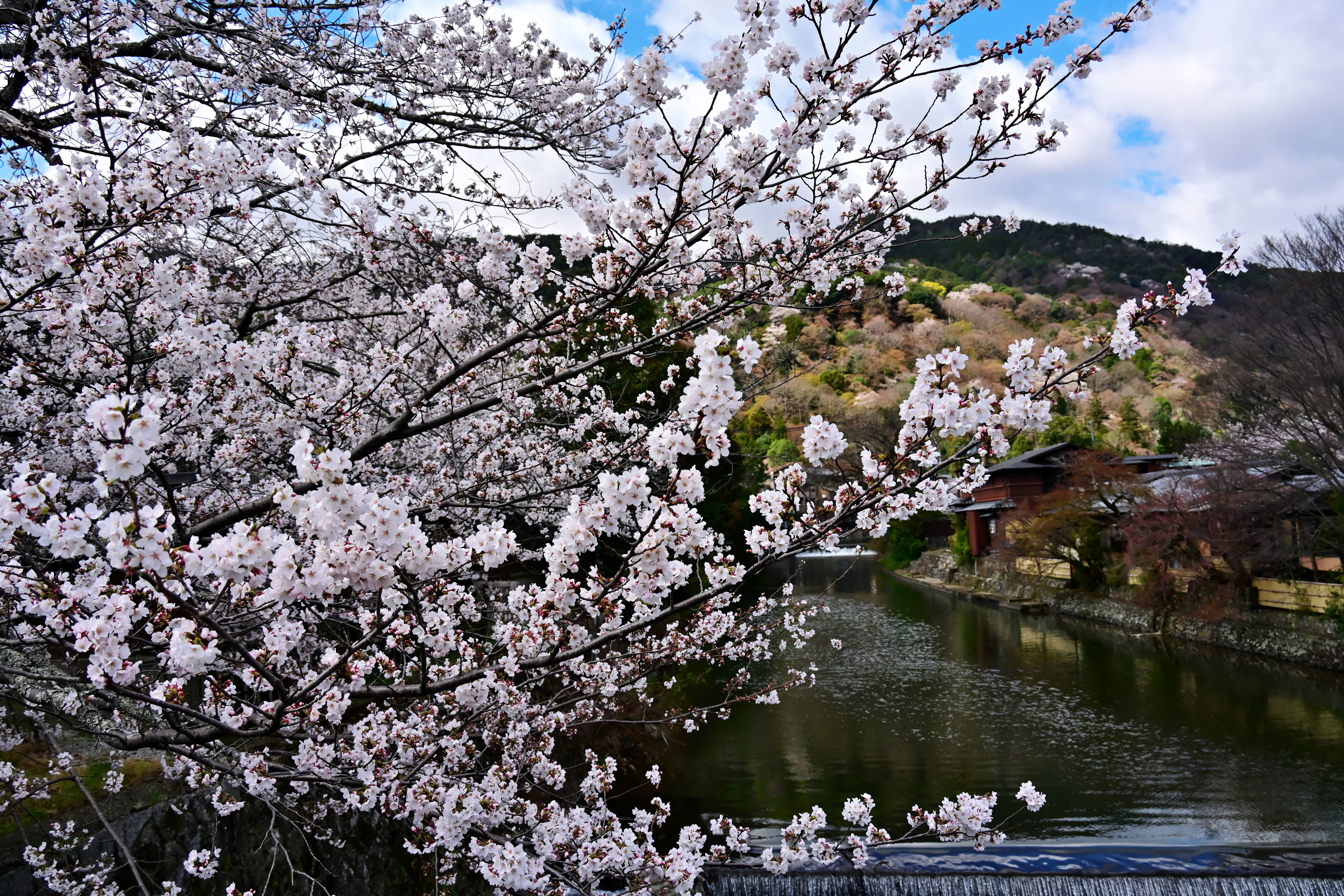 DSC_3500_02.jpg