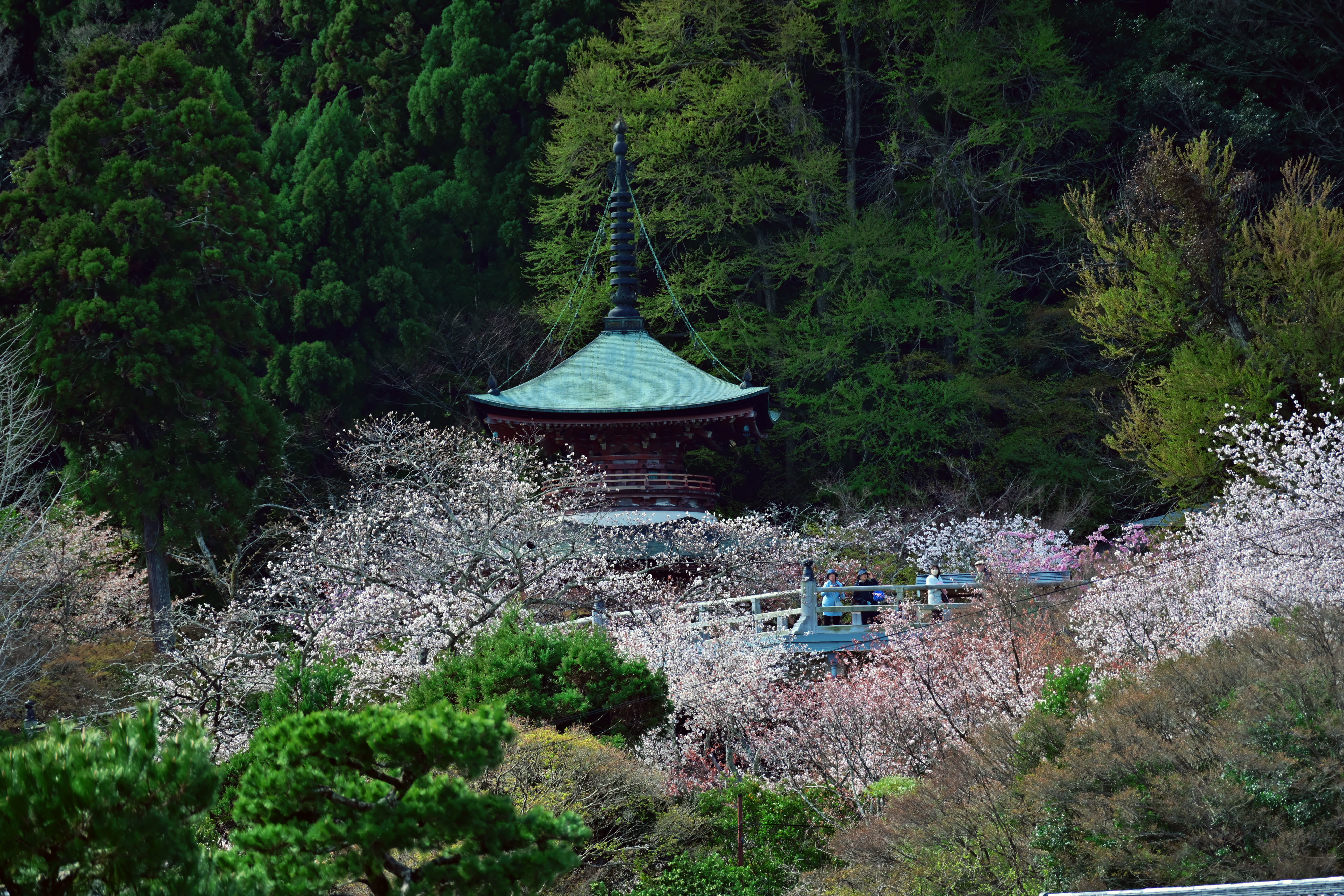 DSC_3485_02.jpg