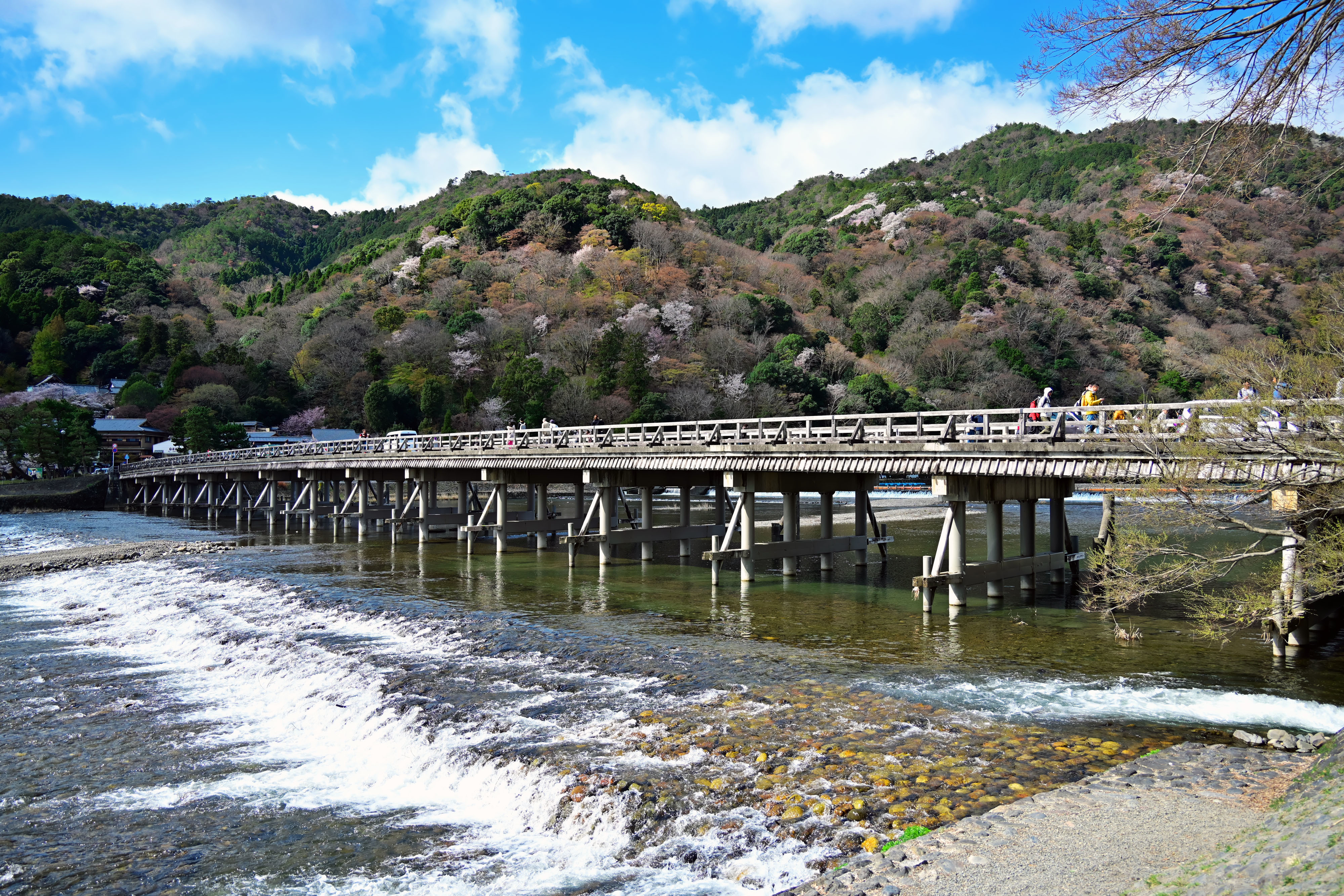 DSC_3481_02.jpg