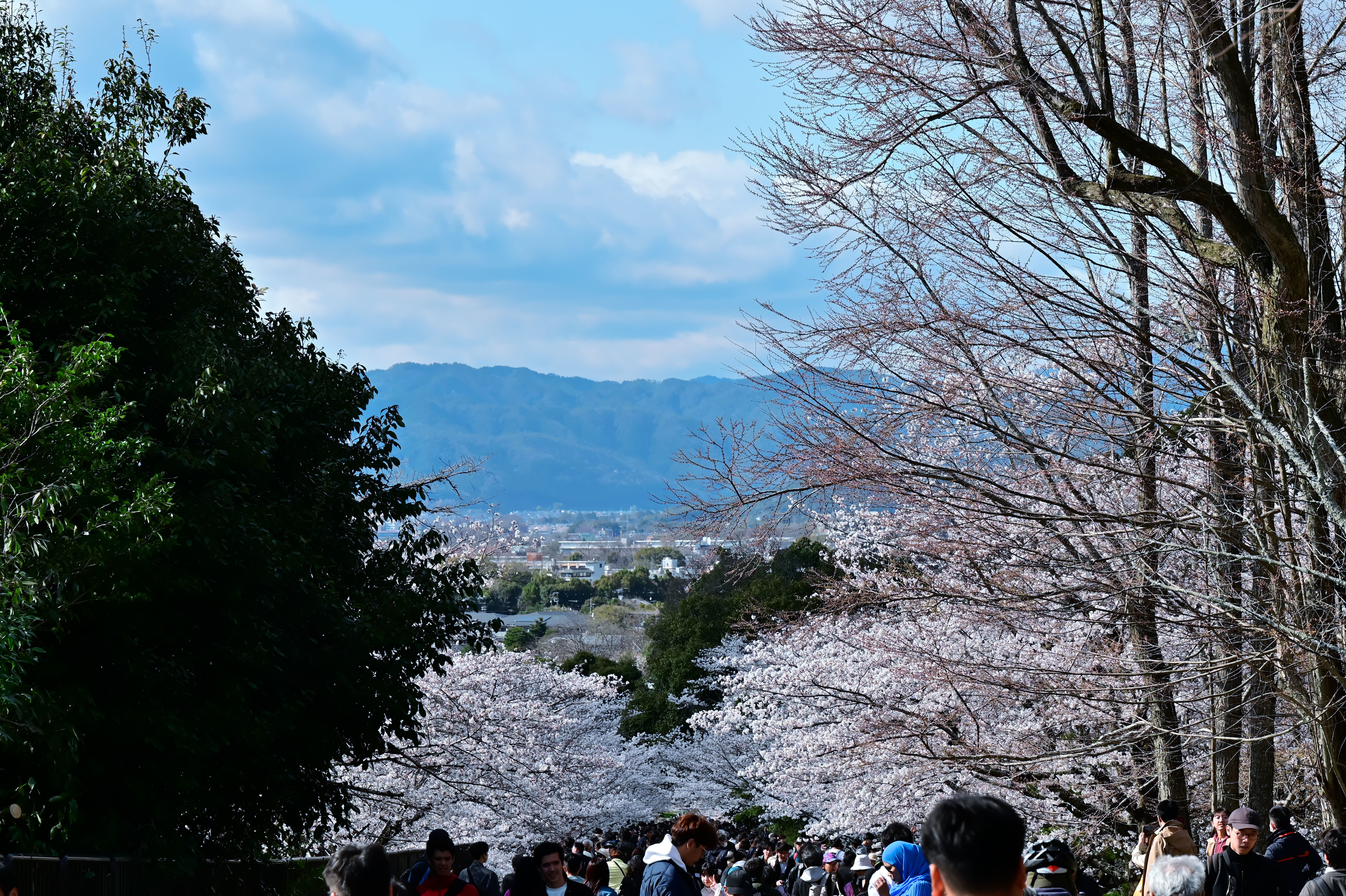 DSC_3655_02.jpg