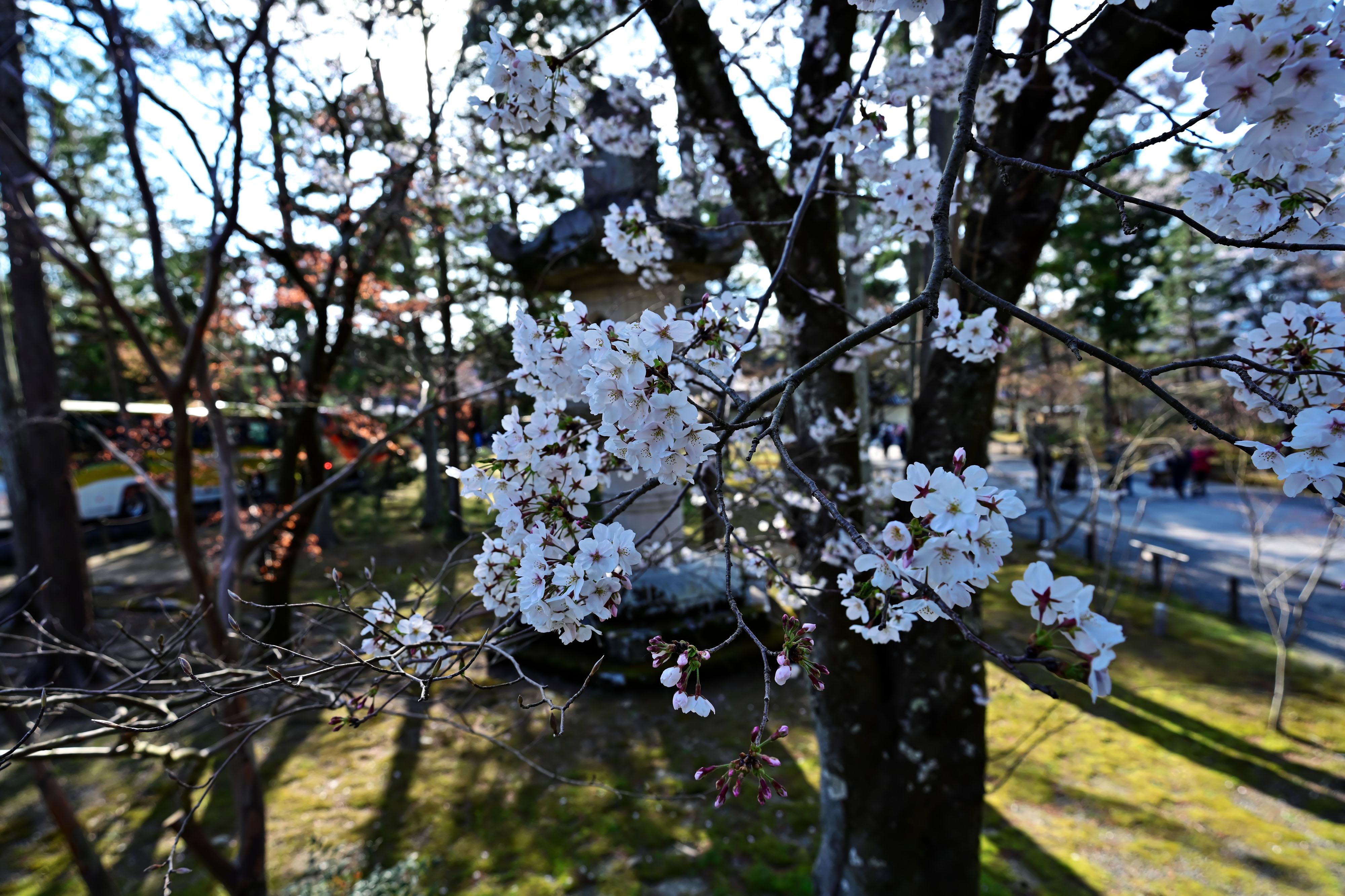 DSC_3717_02.jpg
