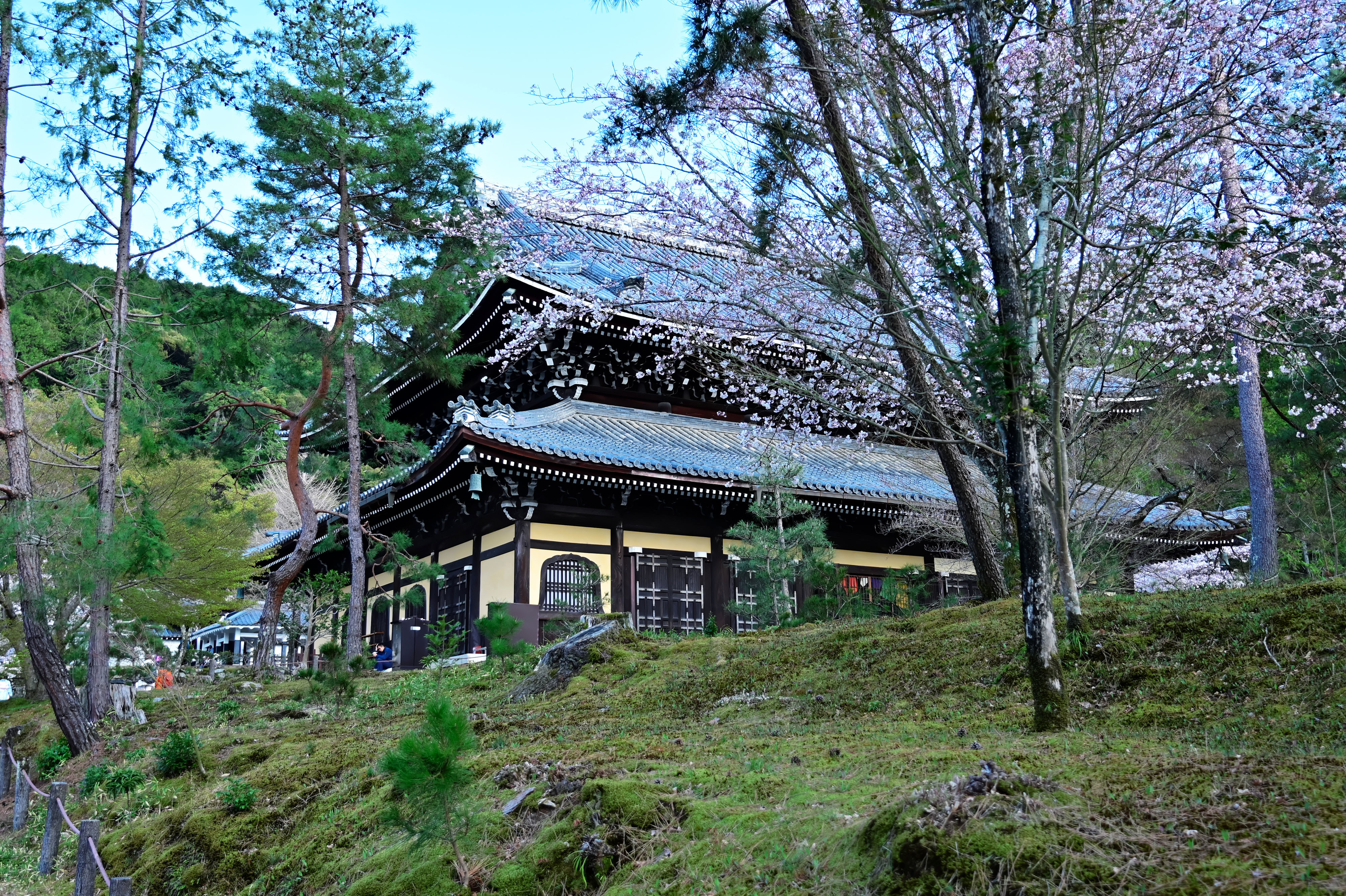 DSC_3707_02.jpg