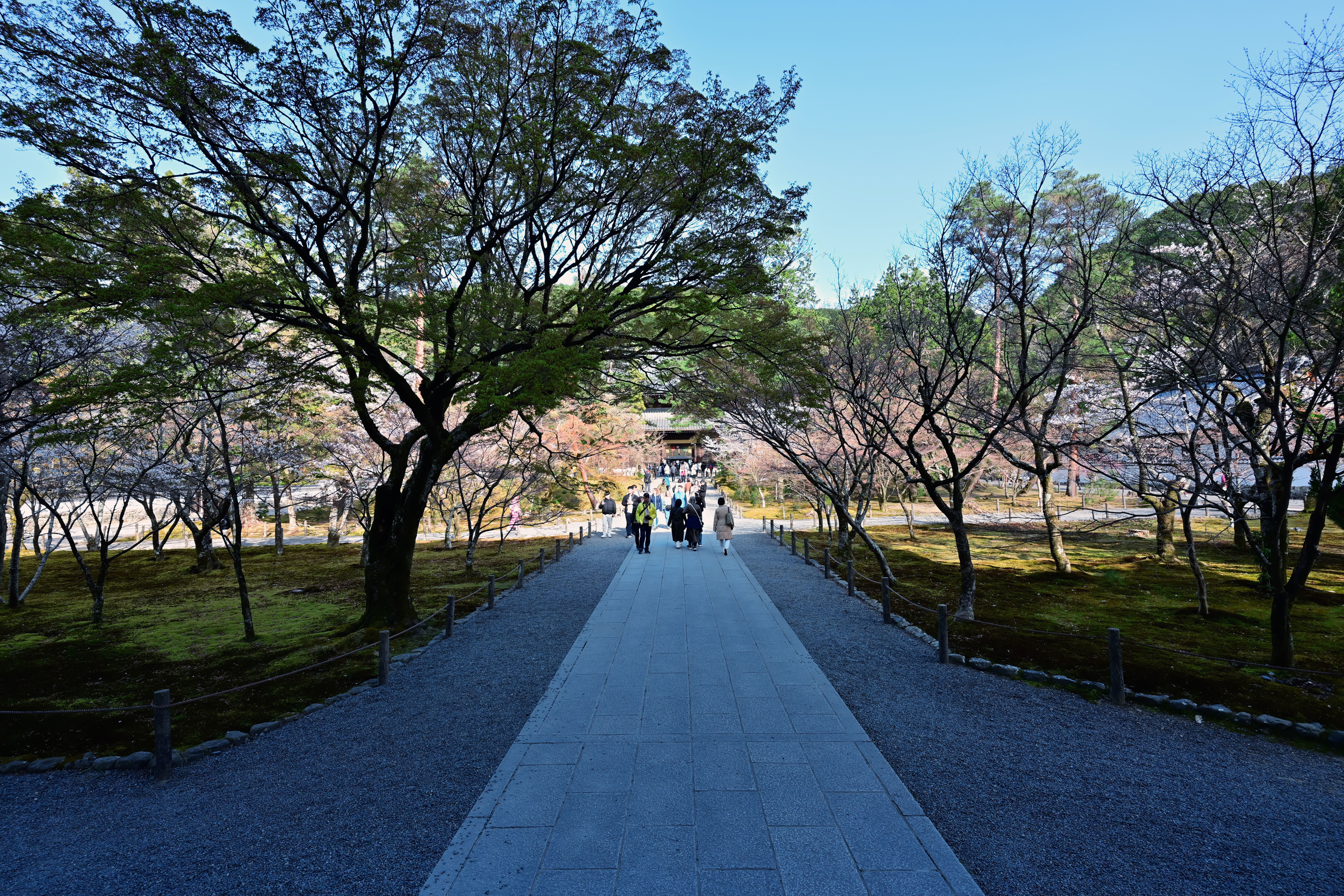 DSC_3688_02.jpg