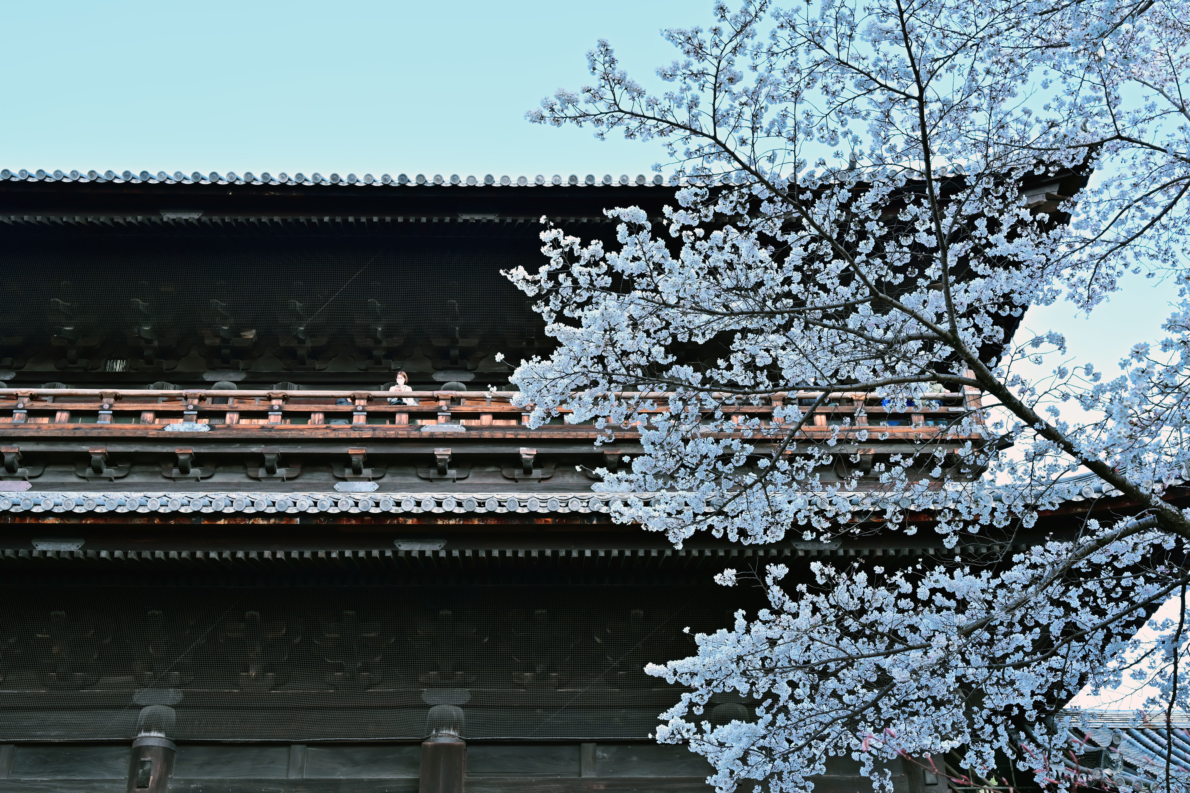 DSC_3681_02.jpg
