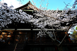 DSC_3798_02.jpg