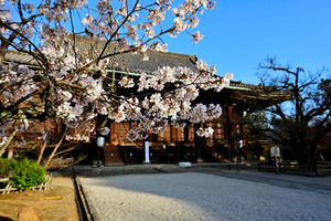 DSC_3794_02.jpg