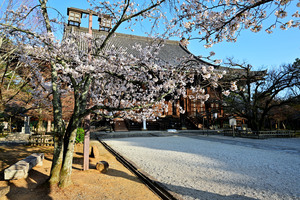 DSC_3788_02.jpg