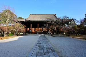 DSC_3786_02.jpg