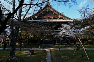 DSC_3780_02.jpg