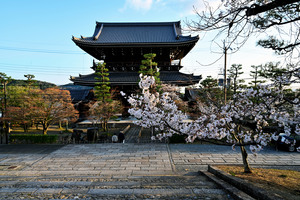 DSC_3824_02.jpg