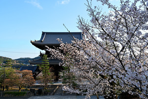 DSC_3818_02.jpg