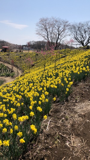 IMG_1942.jpeg