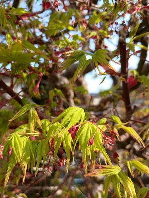 IMG_20250407_080828012.jpg