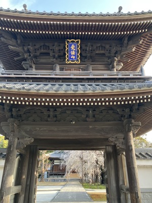 IMG_4228.jpeg