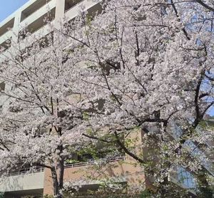 IMG_20250409_165900.jpg